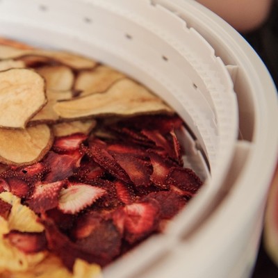 Tühjad riiulid, Ezidri Ultra Digital Dehydrator